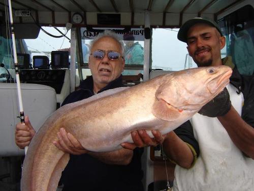 CHERNIAS Y ABADEJOS